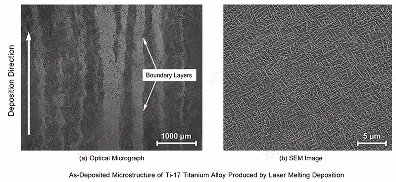 As-deposited Ti-17 laser metal deposition microstructure