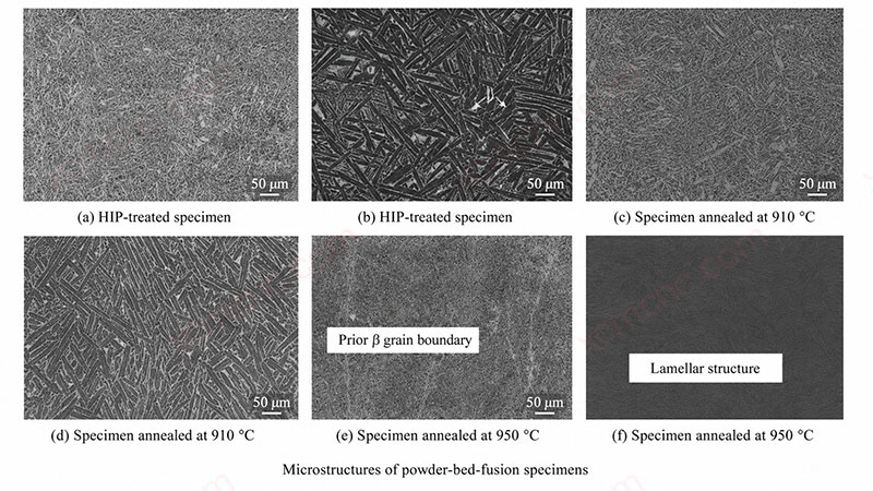 Powder-bed-fused titanium sample microstructure