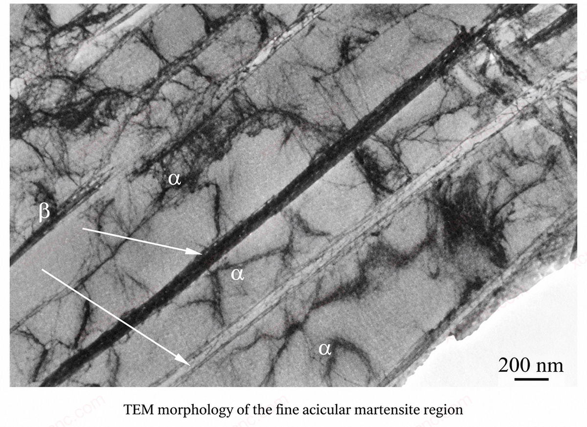 TEM Morphology of Fine Acicular Martensite