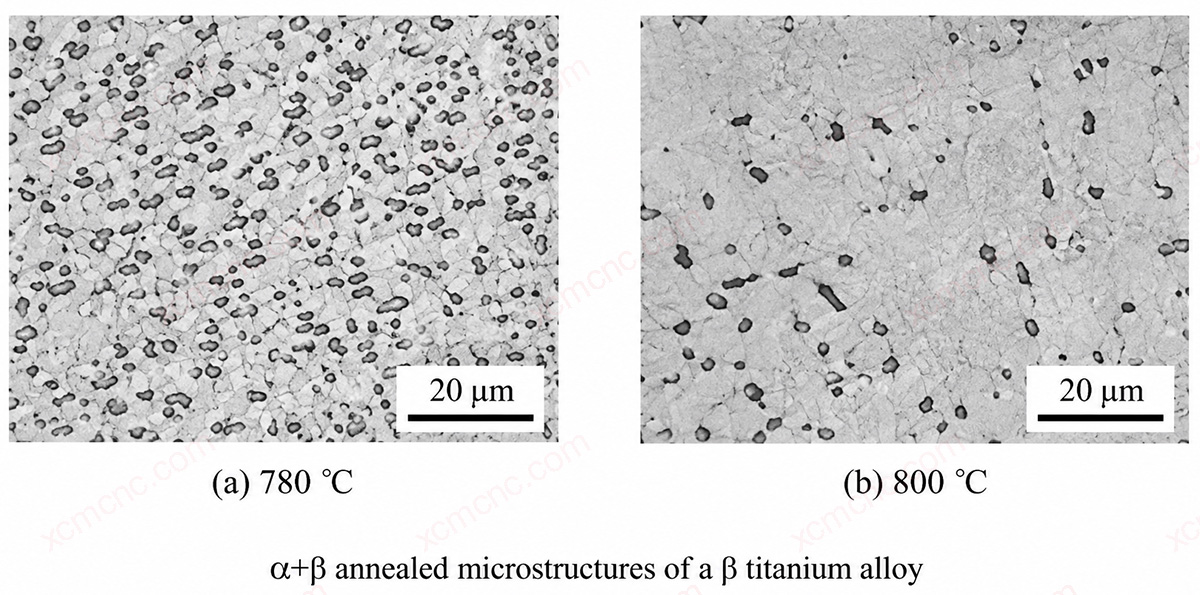 Microstructuur na alfa-bèta-gloeien van een bèta-titaniumlegering