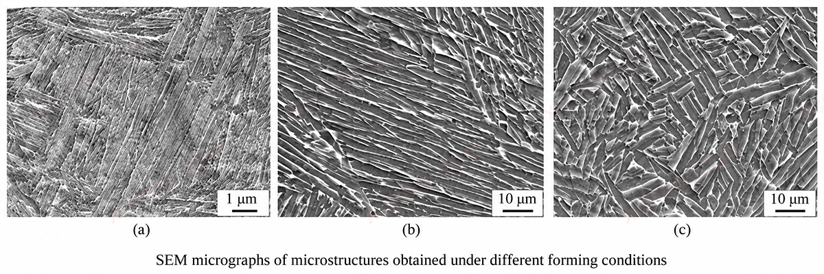 SEM Microstructures Under Different Build Conditions