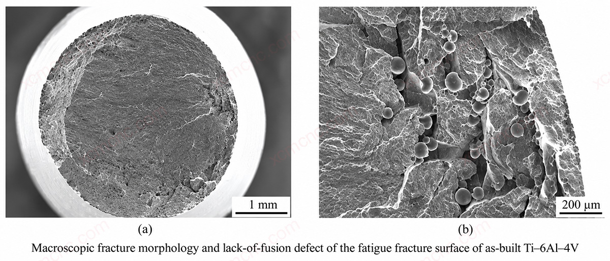 As-Built Ti-6Al-4V Fatigue Fracture and Lack-of-Fusion Defect