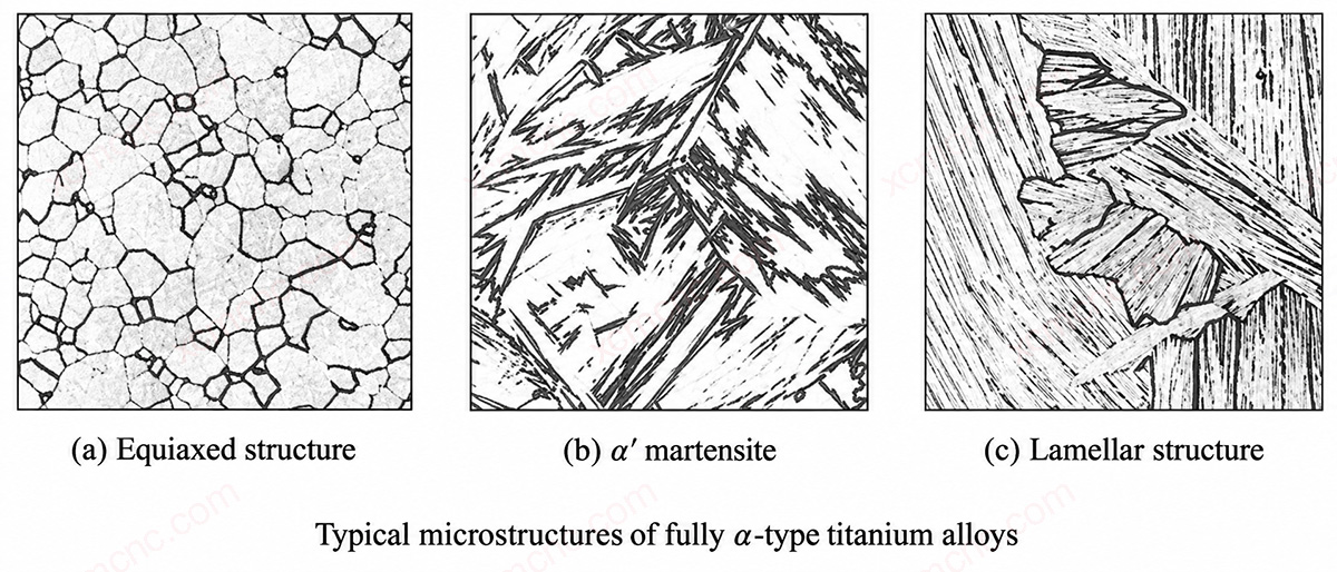 Typische microstructuren van volledig alfa-titaniumlegeringen