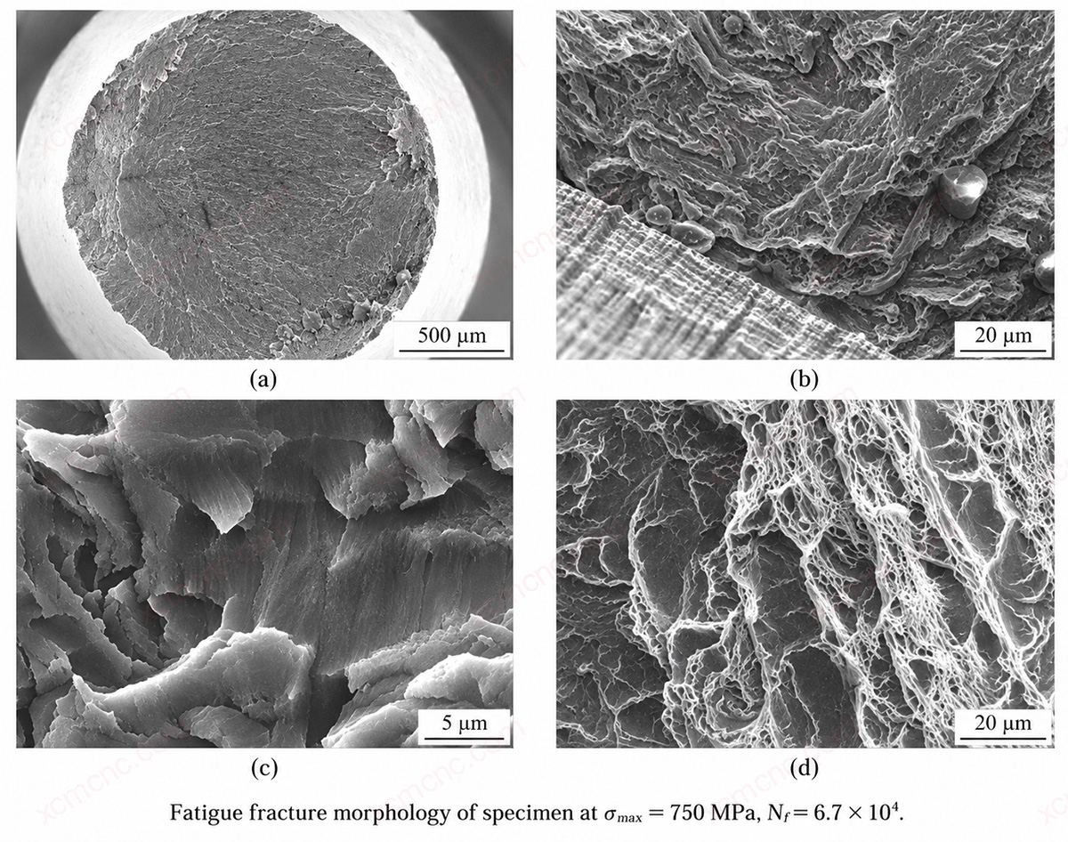 Fatigue Fracture at 750 MPa and 6.7 x 10^4 Cycles