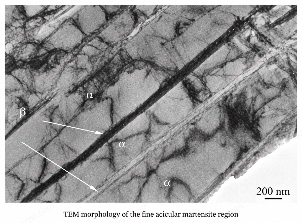 Longitudinal Microstructures at Different Build Orientations