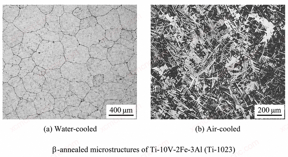 Microstructuur van Ti-10V-2Fe-3Al na bèta-gloeien