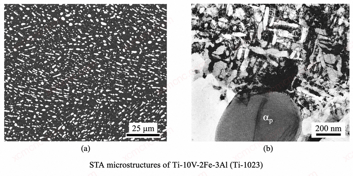 De met een oplossing behandelde en verouderde microstructuur van Ti-10V-2Fe-3Al