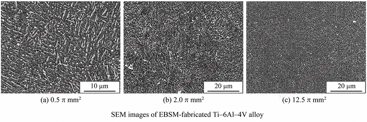 SEM Images of Ti-6Al-4V Titanium Alloy at Different Build Areas
